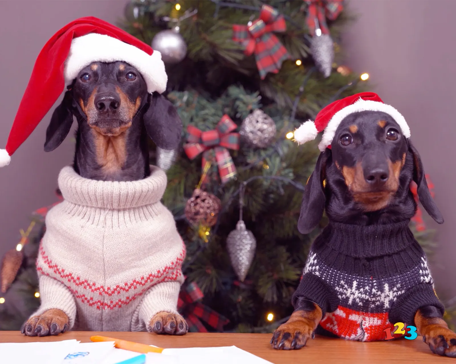 Santa Paws Christmas Send Free ECards From 123cards Santa paws christmas send free ecards from 123cards