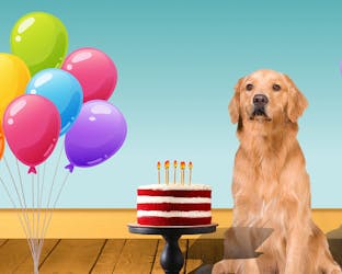 Woofy greetings