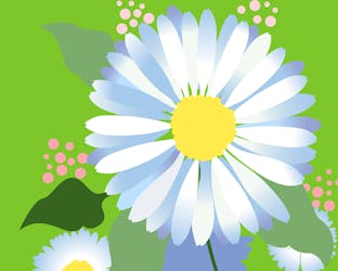 Thank you daisies