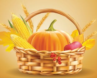 Harvest of good things