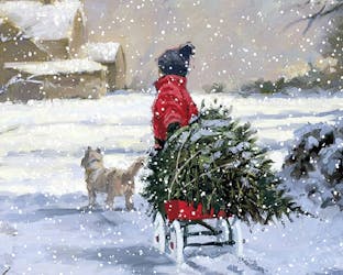 Bringing home the tree